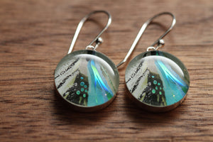 Blue Feather earrings made from recycled Starbucks gift cards. sterling silver and resin