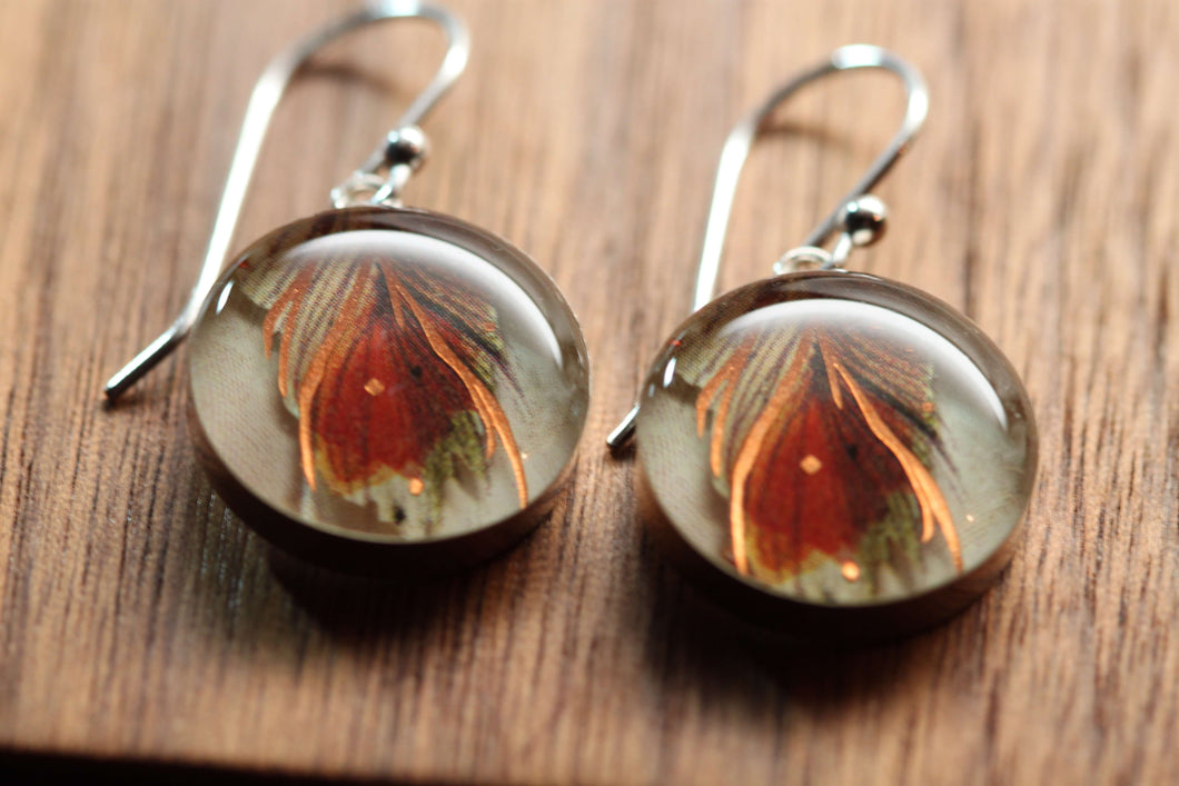 Earthy Feather earrings made from recycled Starbucks gift cards, sterling silver and resin